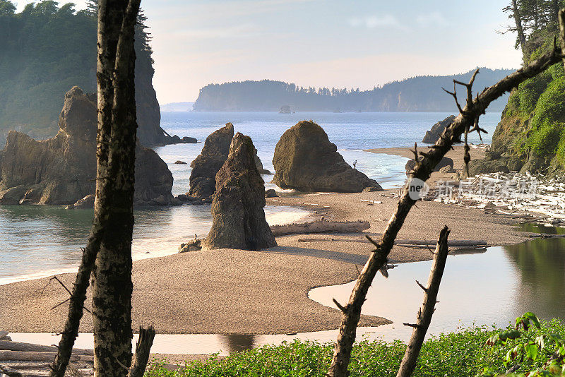 鲁比海滩:岩石海岸线