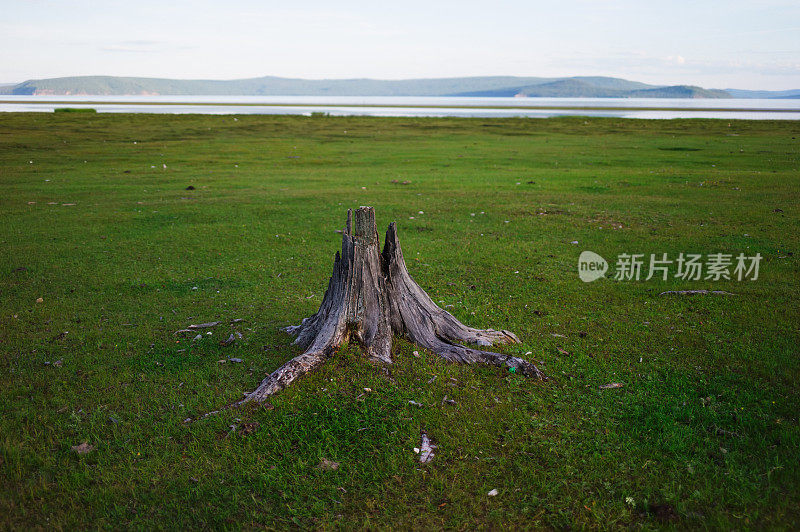 Khovsgol湖边的风景