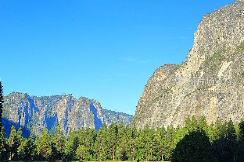 优山美地的高大树木和岩石