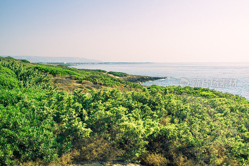 意大利狂野海滩上的小路