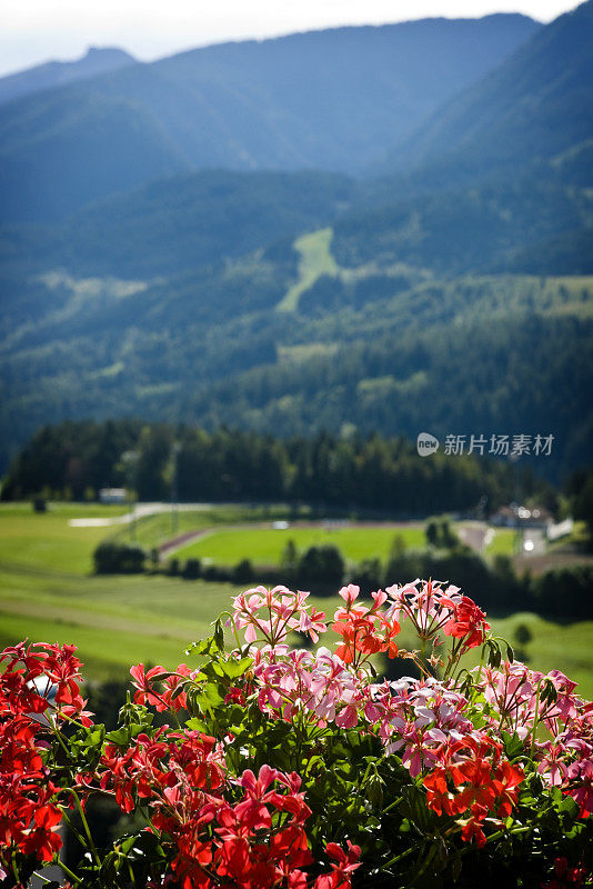 阿尔卑斯山脉