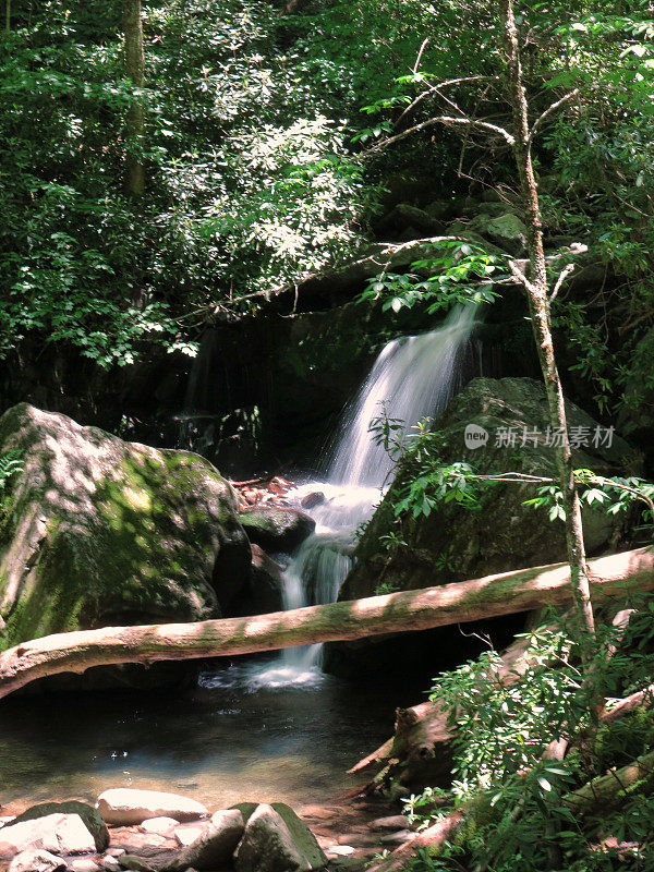 山洞瀑布徒步旅行小径瀑布，烟山国家公园，田纳西州