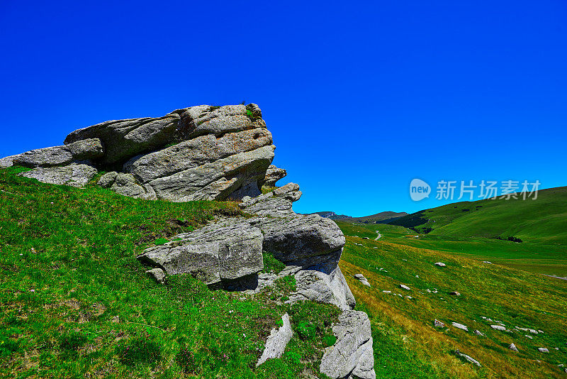 美丽的夏季风景在山上