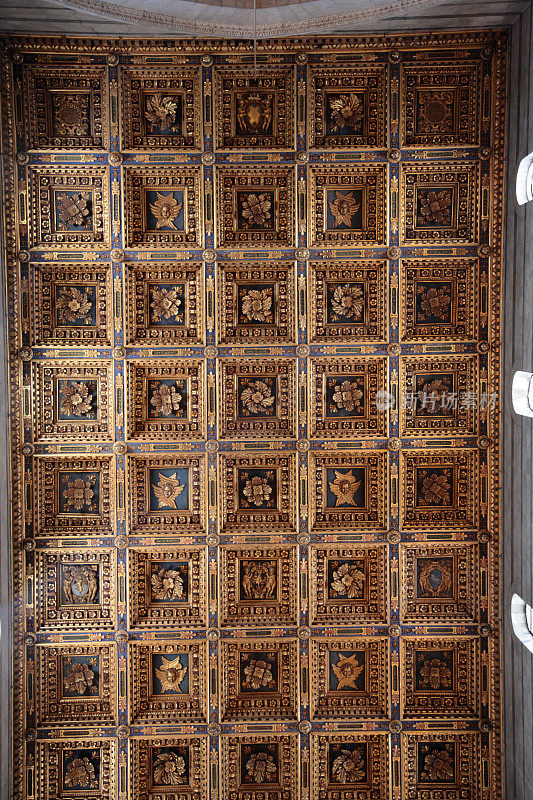 意大利比萨大教堂的金色天花板