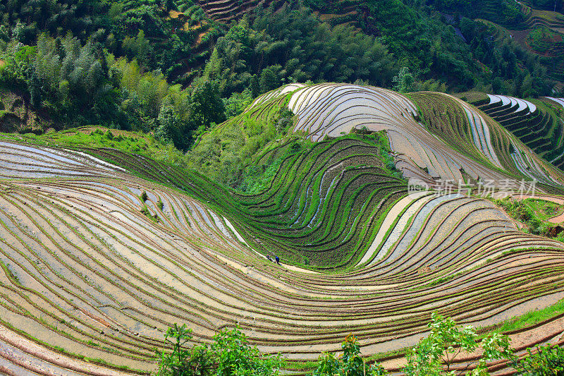 隆基梯田