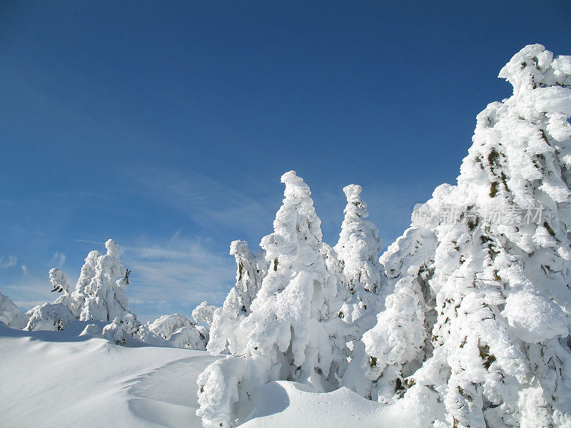 雪鬼