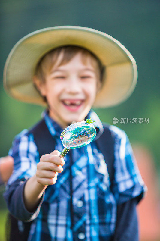 男孩看着昆虫