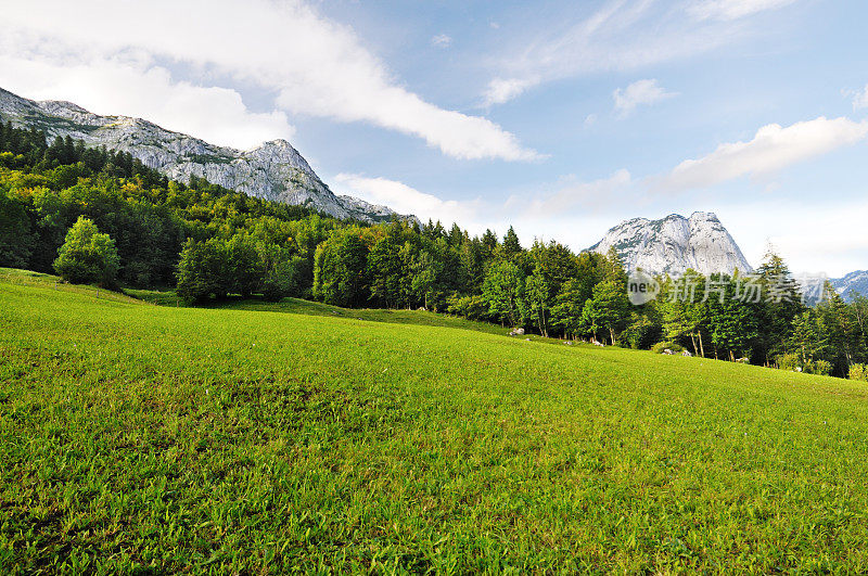 奥地利的高山草甸