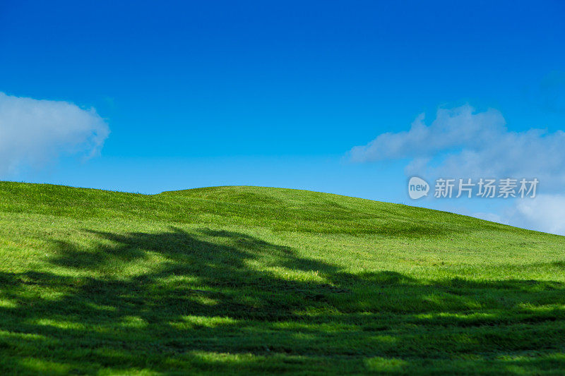 起伏的绿色山丘