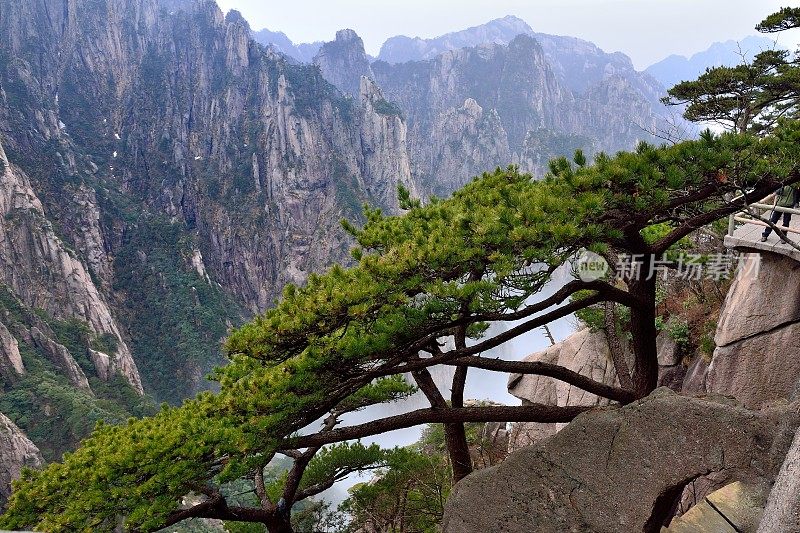 黄山西海峡谷005