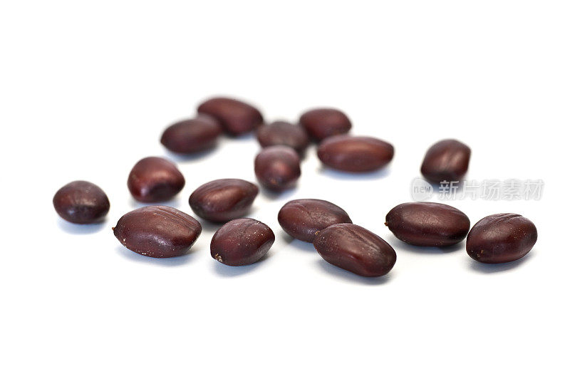 角豆树豆