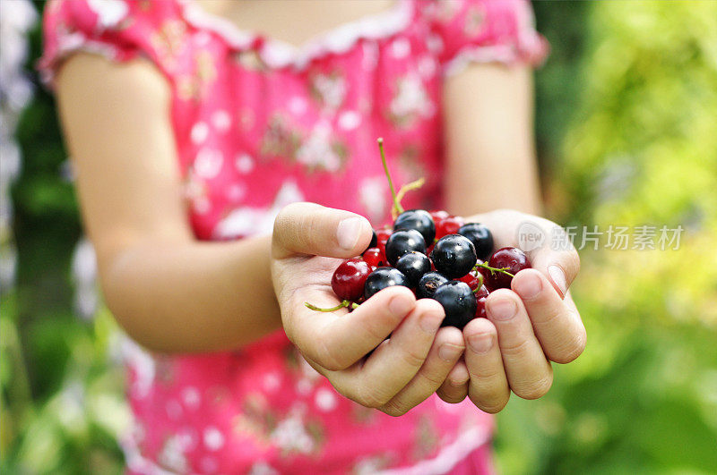 一个小女孩手里拿着新鲜的浆果