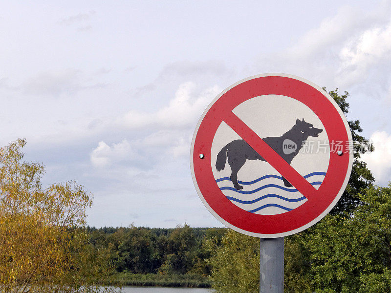 禁止狗狗游泳