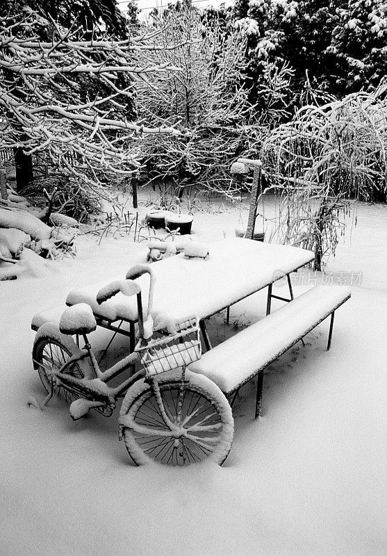 新鲜的雪