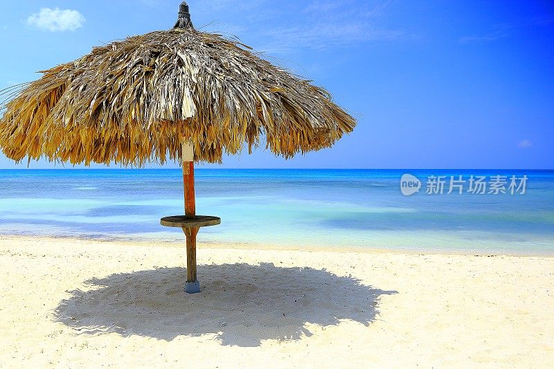 热带天堂:帕拉帕休息，绿松石加勒比海滩日出，阿鲁巴，安的列斯