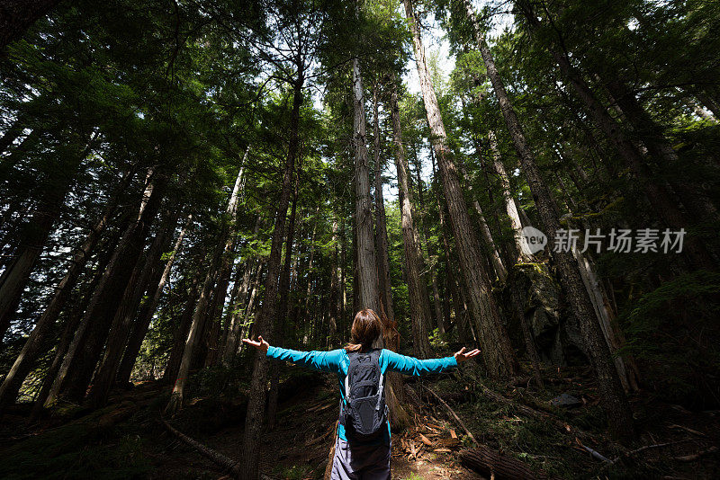 在温带雨林中快乐的徒步旅行者