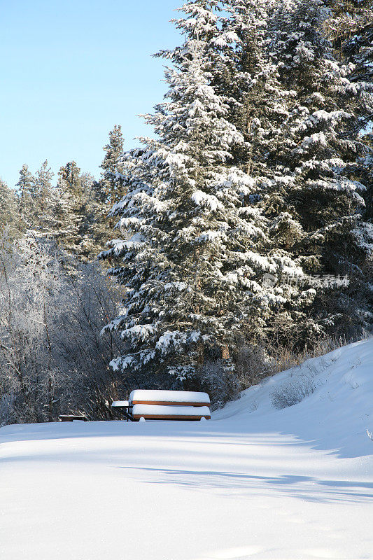 冬天的场景，没有标记的雪和一张野餐桌。