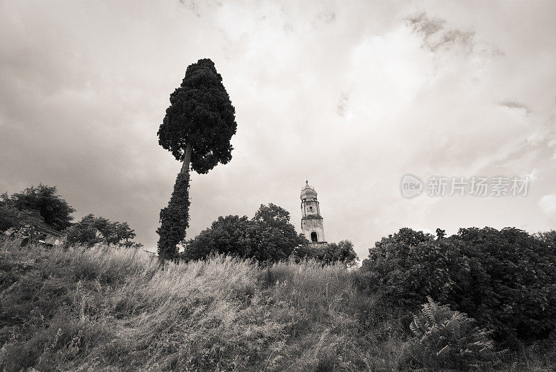 钟楼，柏树和草地