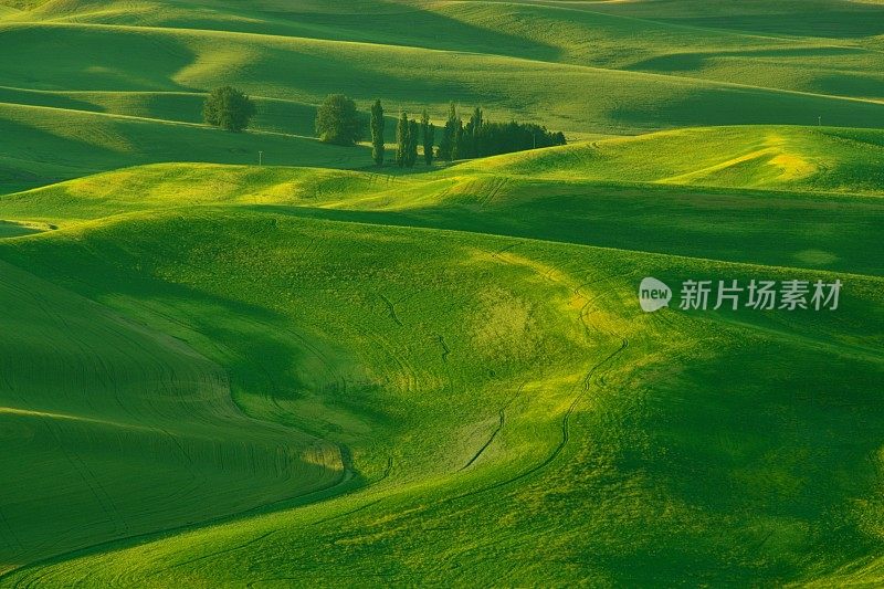 日出时的乡间牧场、农场和小山