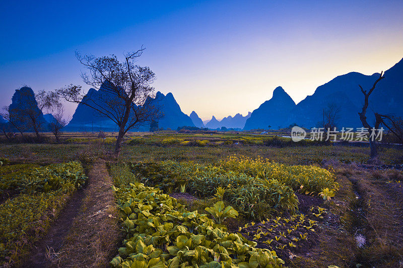 黎明时分的桂林山