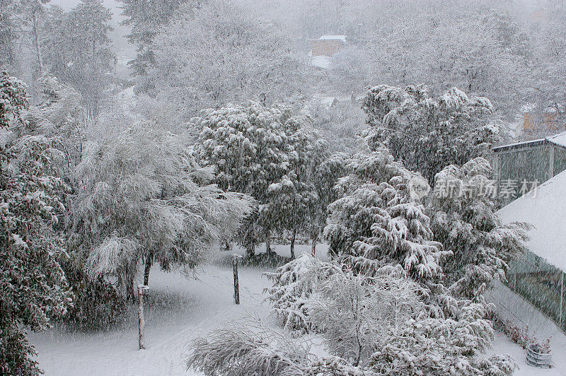 冬天的场景