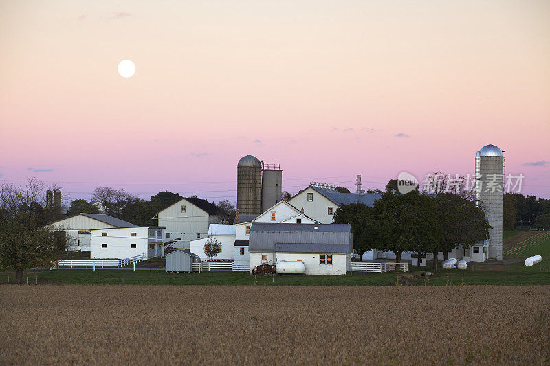 月亮升起在农场