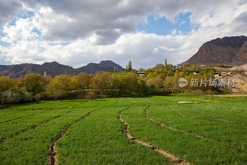 田野和小村庄的景色