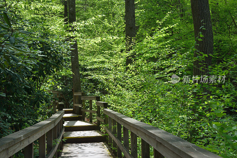 特拉华水峡的木板路