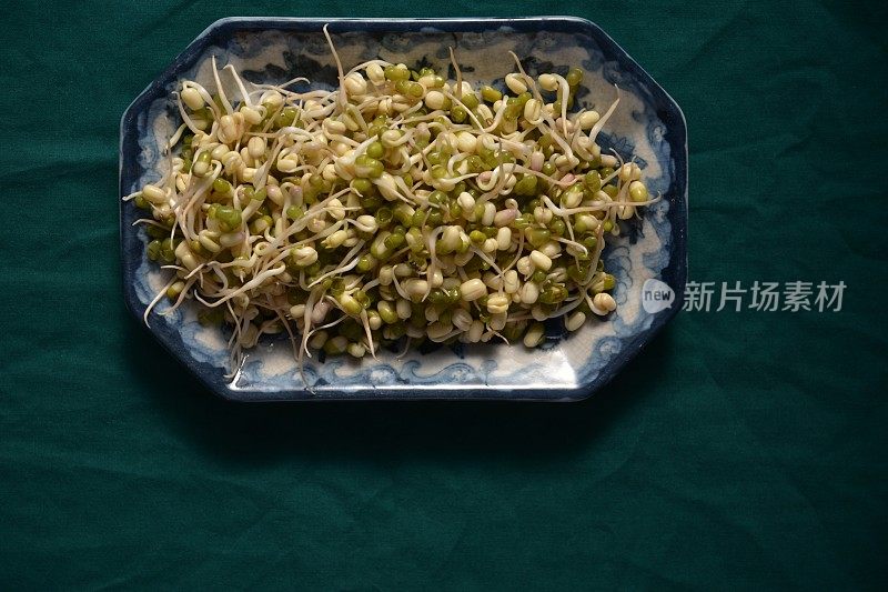 绿豆发芽