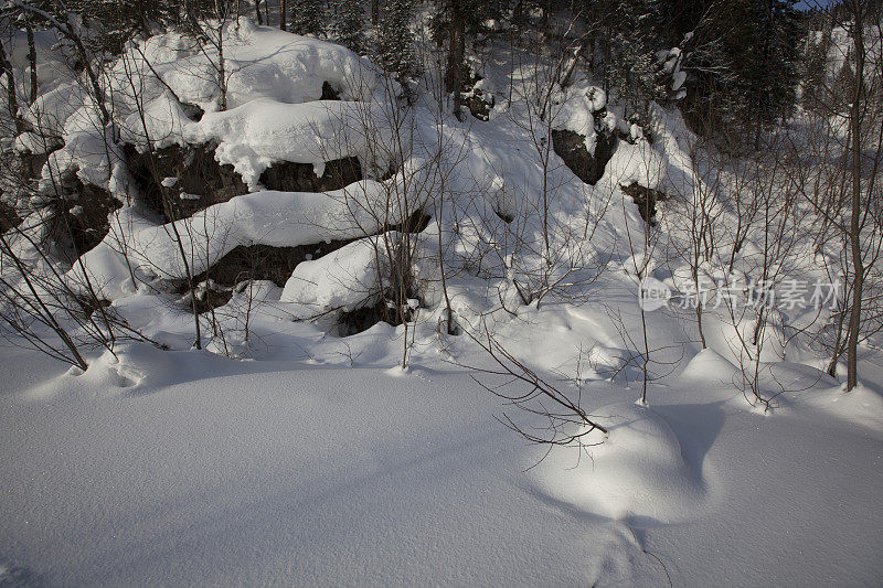 雪