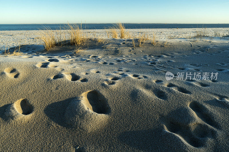 希尔特岛海滩阳光下沙丘上的脚印