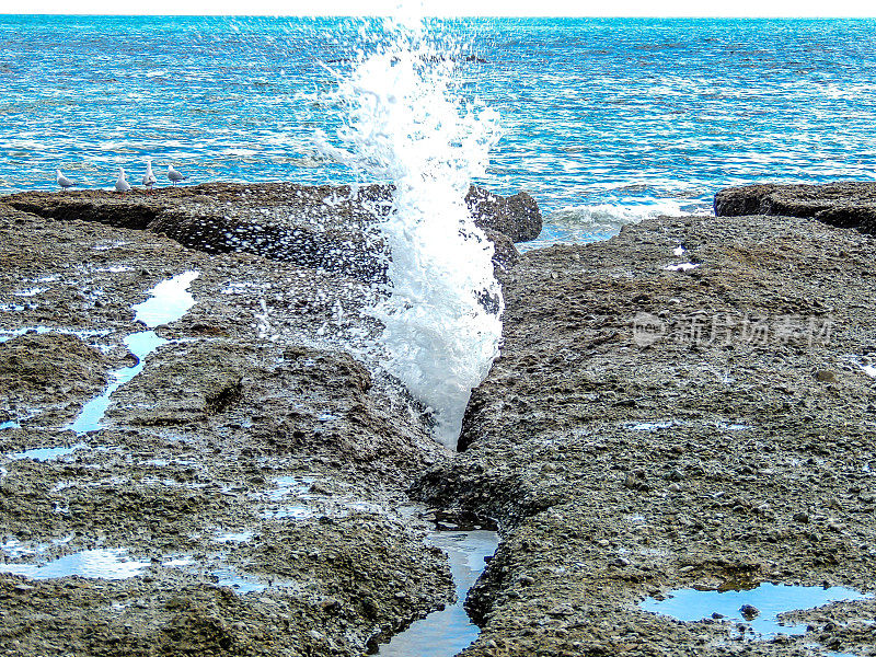 水从岩石中喷出来，新西兰山羊岛