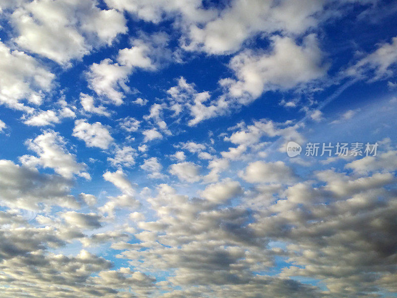 在黑暗的充满活力的蓝色天空在夏季的晴朗的一天Cloudscape