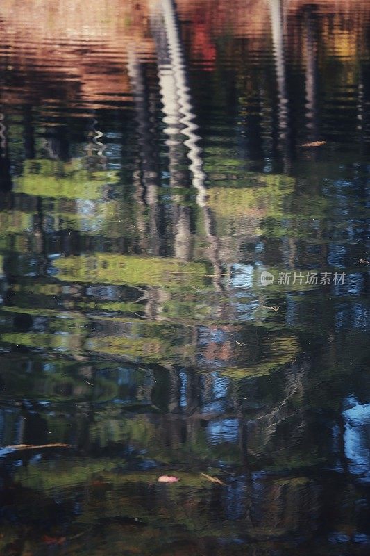 水波纹自然桦树反射背景复制空间