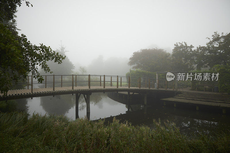 丹麦欧登塞的一个公园里的树