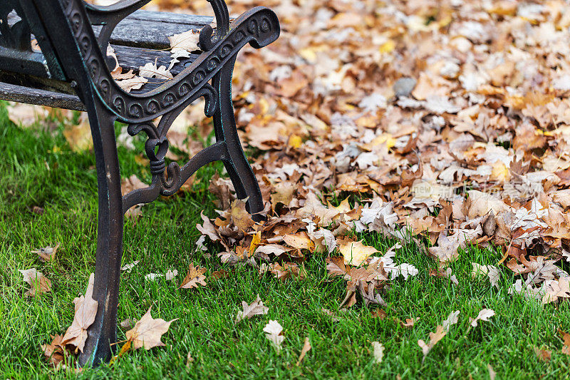 花园里的长凳，绿色的草坪和许多秋天的落叶