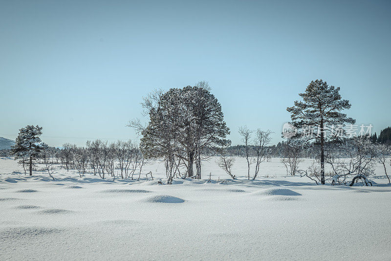 挪威森加岛冬日的雪景