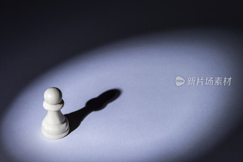 棋子和它的影子。