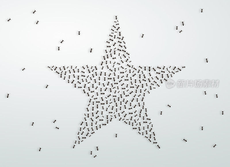 团队合作理念:蚁群形成一个大明星形状
