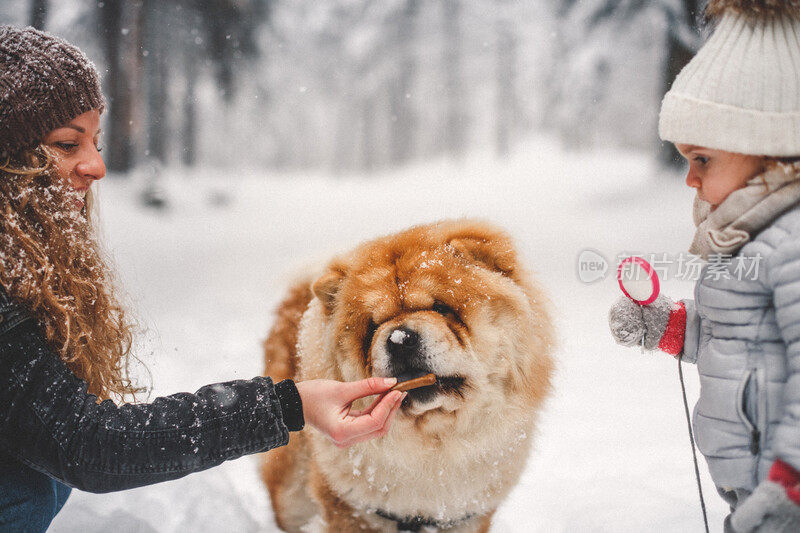 雪中的聚会时间