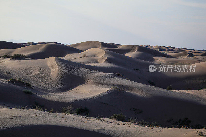 索尔顿海沙漠沙丘