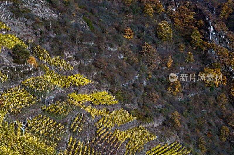 阿尔特纳的阿尔山谷