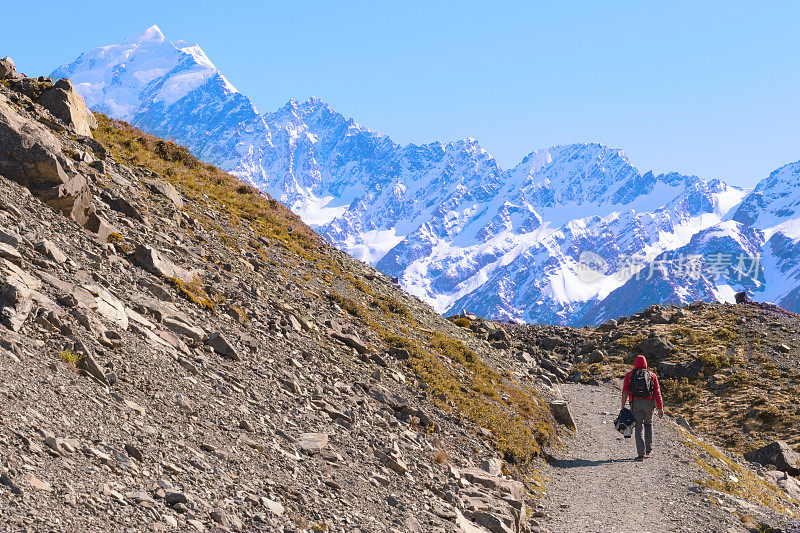 新西兰库克山;独自徒步旅行者在阳光下在库克山徒步路线。