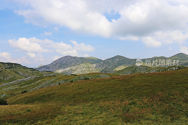 波斯尼亚和黑塞哥维那泽伦戈拉山的绿色山峰