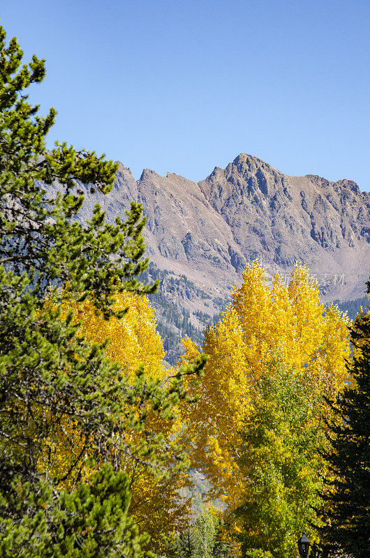 韦尔山和韦尔Pass在韦尔，科罗拉多州与金杨在前景