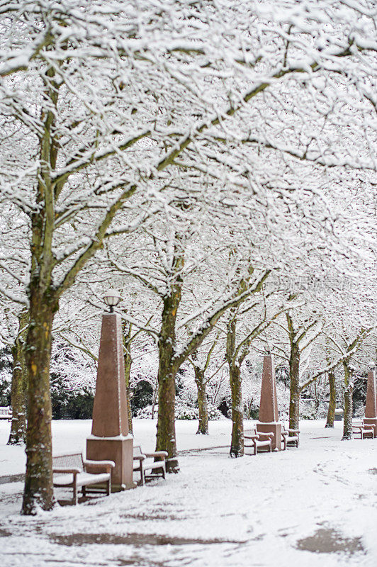 冬天下雪的贝尔维尤市中心公园