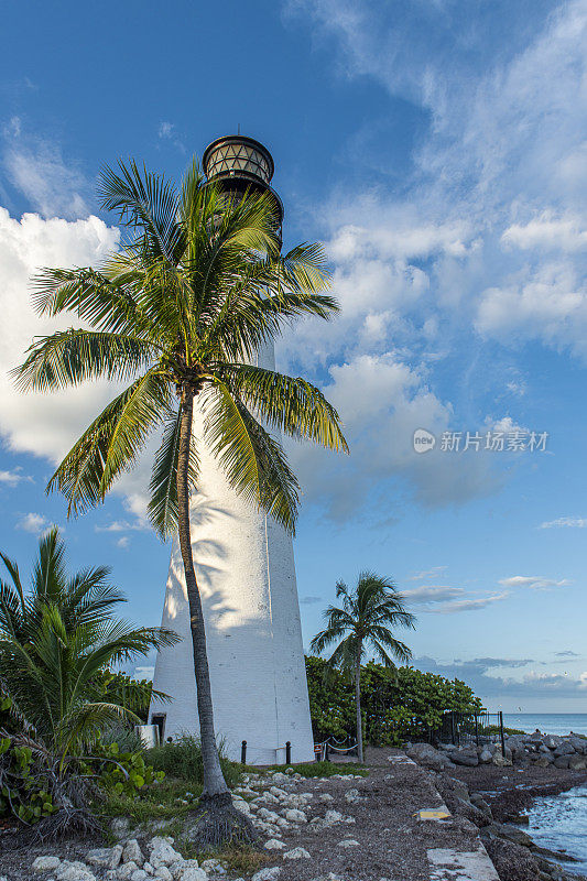 在比斯坎湾，迈阿密，佛罗里达，美国的棕榈树下隐藏的灯塔的视图。