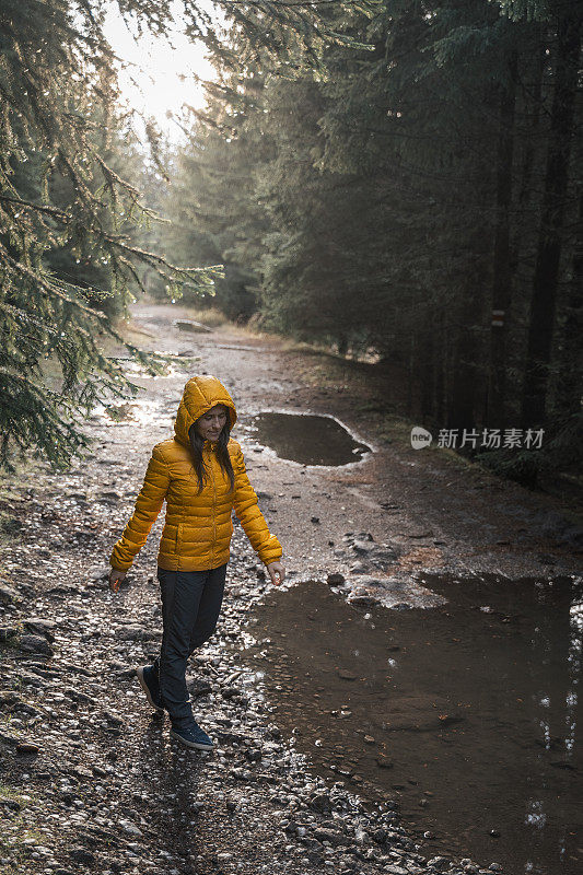 回归自然。独自在树林里行走的旅行者。一个快乐的年轻女游客漫步在大自然中。阳光明媚的日子里在森林里的户外享受。