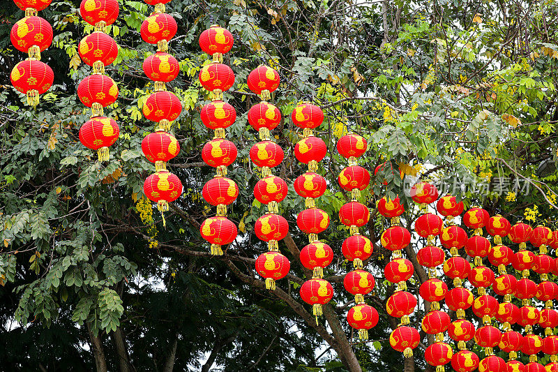 中国新年:天后宫元宵节