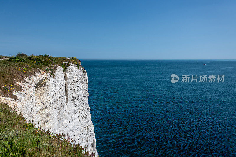 多塞特海岸的白垩石崖